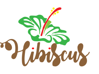hibiscus logo app branding design flat icon illustration illustrator logo minimal vector