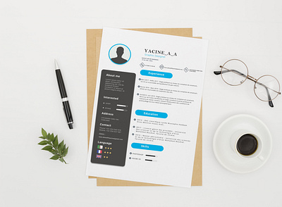 CV curriculum vitae cv cv design cv resume cv resume template cv template design mock up mockup ui work