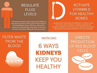 6 Ways Kidneys Keep You Healthy illustration infographic