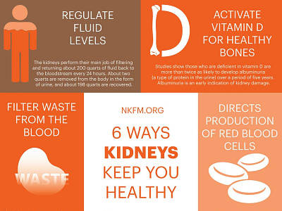 6 Ways Kidneys Keep You Healthy