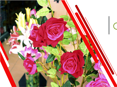Banner rosas design illustration vector web