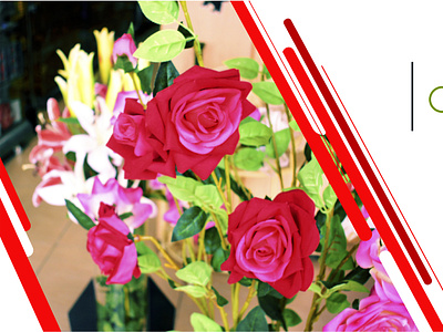 Banner rosas