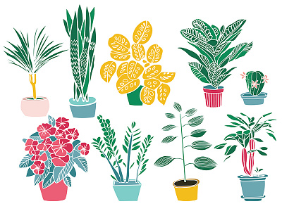 Plants