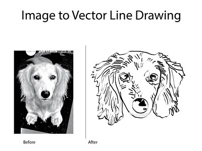 Image to vector line drawing