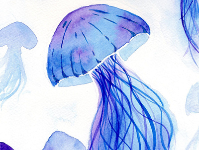 Jellyfish watercolor animalillustration beautiful elegant illustration jelly fish jellyfish ocean painting watercolor