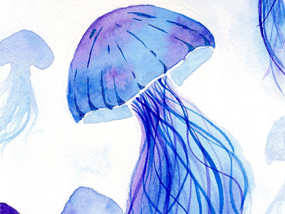 Jellyfish watercolor