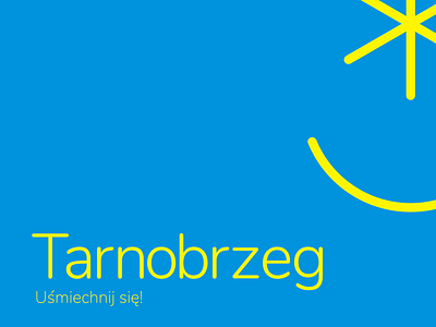 Tarnobrzeg - propozycja logo brand brand identity branding design flat graphic design illustrator logo minimal poland polska tarnobrzeg