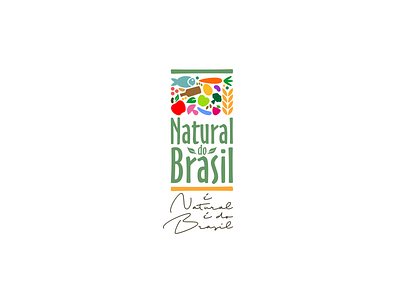 Natural do Brasil brazil food healthy natural nature nutriment organic