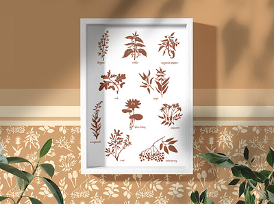 Herbal collection branding flat graphic design herbal illustration logo minimal vector