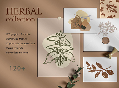 Herbal collection branding design graphic design herbal illustration illustrator logo minimal plant vector