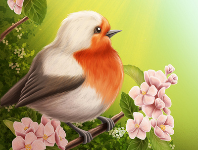 Robin Bird animals bird bird illustration digital illustration nature robin spring springtime wildlife wildlife art
