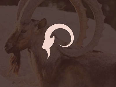 Modren Logo of Wild Mountain Goat.