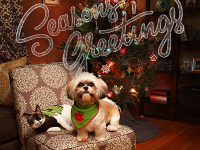 Seasons Greetings card cat christmas dog greeting hand lettering lettering pets photo art direction