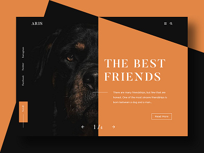Aris design dog faithful homepage landing page pet product ui ux website