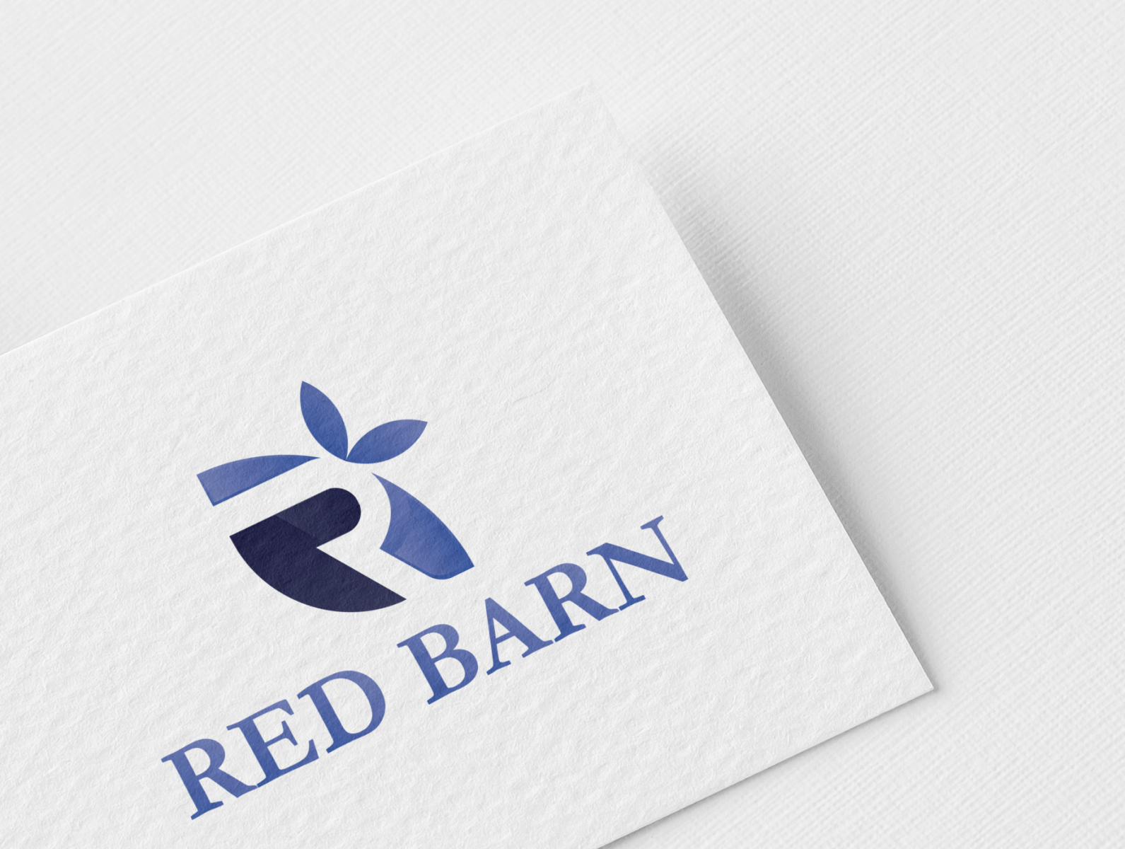 Brand Logo Design By Md Safiqul Haque On Dribbble