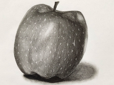 Apple - pencil sketch pencilart drawing graphiteart