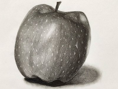 Apple - pencil sketch