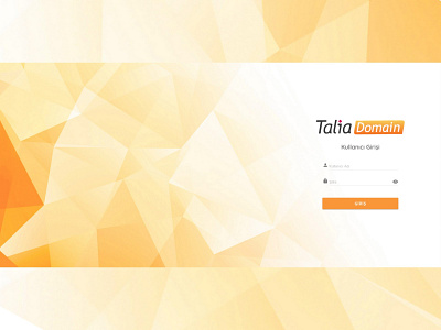 TaliaDomain | Login Page abstract app design graphic design illustration logo ui ux web