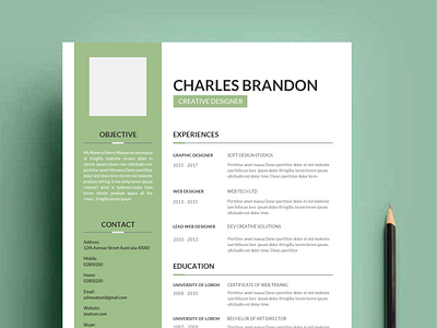 Professional Resume Design adobe illustrator adobe photoshop graphic design illustration resume design top rated