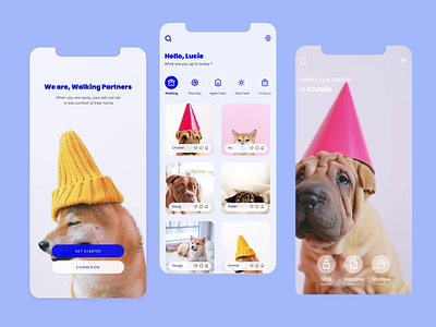 Dog Sitter app animation design figma graphic design