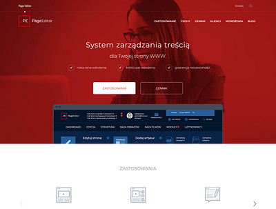 Website for PageEditor.pl responsive design webdesign website design