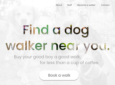 Design 17: Dog Walks 30daychallenge 30daysofwebdesign branding dailydesignchallenge design ui uidesign webdesign