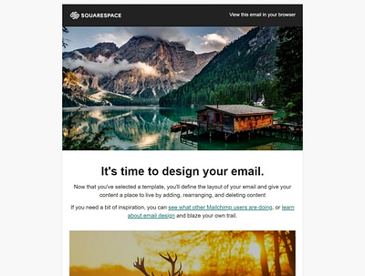 Newsletter Design email template design mailchimp