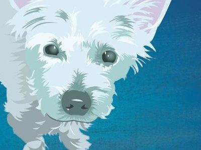 Blue Archie archie blue dog illustrator vector