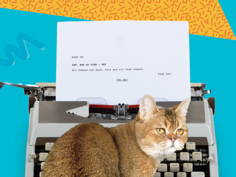 Jingles pattern 80s typewriter cat