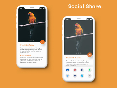 Social Share appdesign dailyui design figma ui uidesign uiux ux webdesign