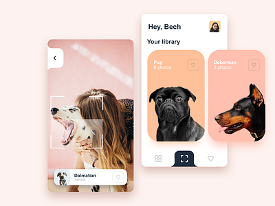 Dog Collection app dogs mobile ui ux