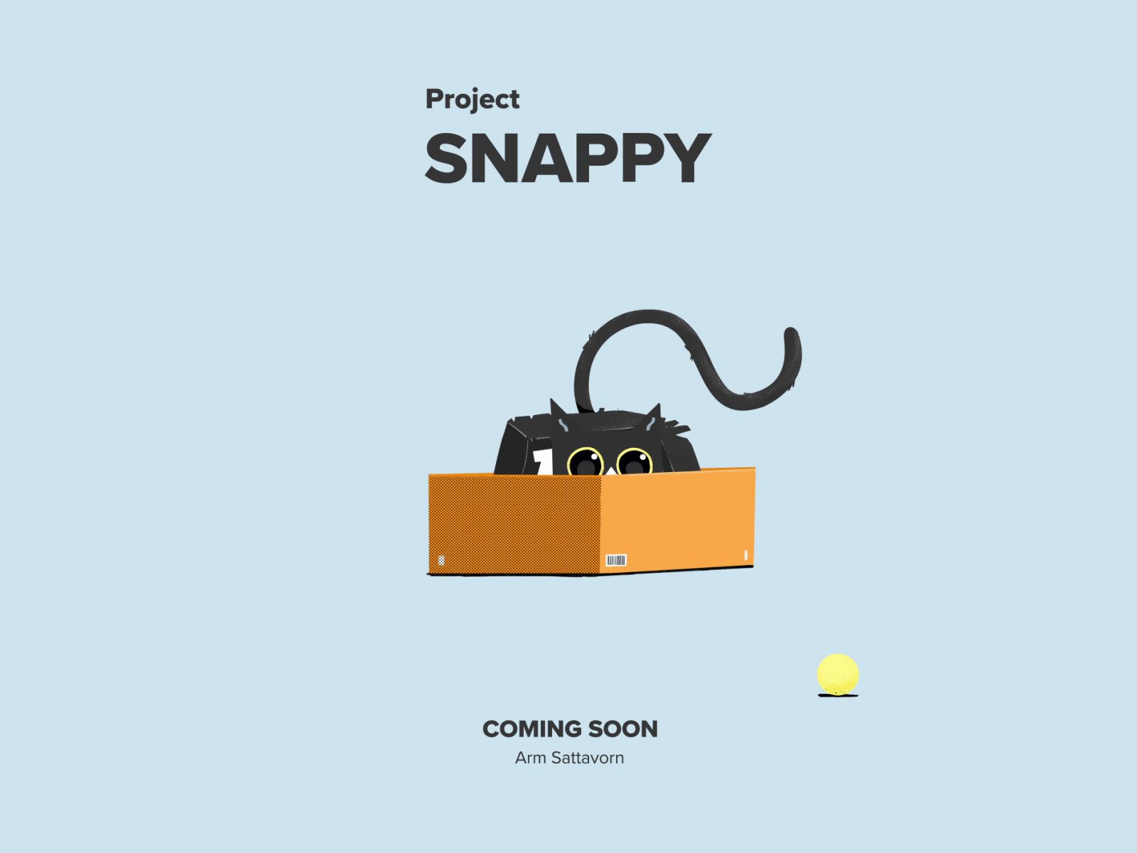 Project Snappy coming soon 2d after effects animation cat comingsoon motion graphics projectsnappy snappy