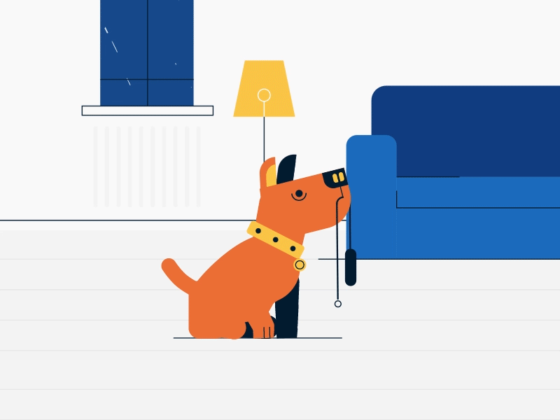Let's go for a walk 2d animation dog exciting minimal raining