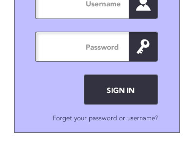Sign In Box button fields password signin ui design user interface username