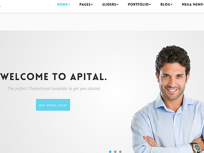 Apital - Ultra Premium Business WordPress Theme portfolio responsive wordpress