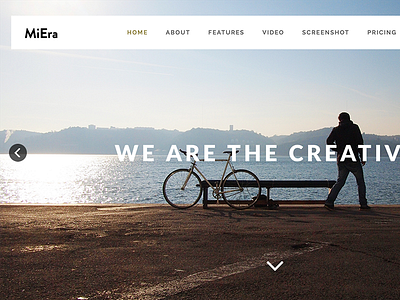 MIERA - Multi-Purpose Responsive Theme