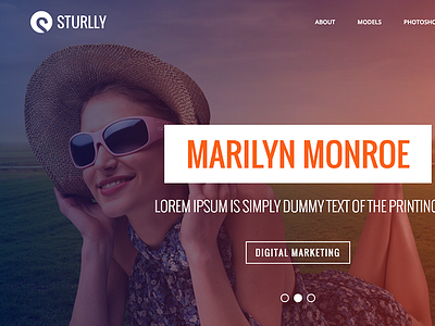 Sturlly - Responsive Multi-Purpose Theme business clean corporate creative ecommerce modern multipurpose one page photography portfolio responsive wordpress