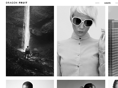 Dragon Fruit - Creative Photography Template