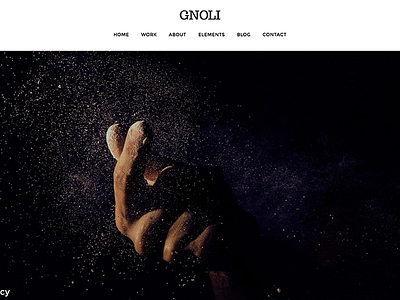 Portfolio WordPress Theme - Gnoli agency bold clean creative lightweight masonry parallax personal photography portfolio studio