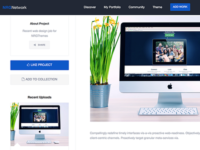 NRGNetwork - Responsive Social Network WordPress Theme