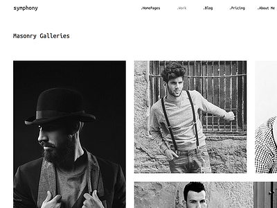 Symphony - Photography Portfolio WordPress Theme ecommerce freelancer gallery modern photographer photography photos portfolio responsive studio web design wordpress