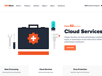 NRGHost - Flat Responsive Hosting Theme + WHMCS domains flat hosting theme hosting responsive shared hosting vps hosting web hosting web hosting theme web hosting wordpress theme whmcs whmcs wordpress theme wordpress hosting theme