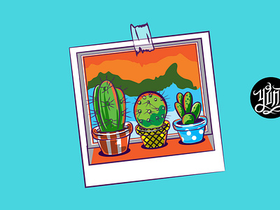 cactus photos