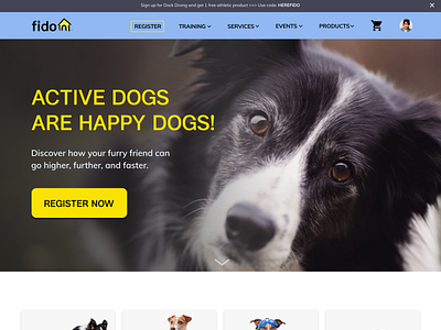 Dog Training, Services and Products Website Concept