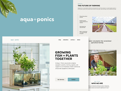 Aqua + Ponics - Aquaponics Systems concept desktop farming fish interface natural plants ui web web design