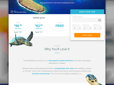 Tour page hawaii landing page tour turtle ui user flowmade with invision ux