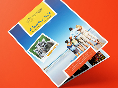 Brochure Design brochure brochure design design graphic design