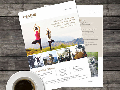 Flyer Design brochure brochure design design flyer flyer artwork flyer design graphic design