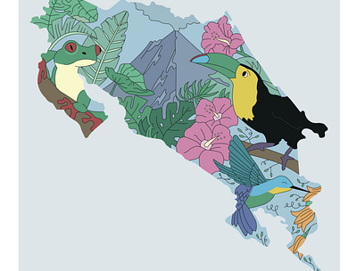 Costa Rica Map Illustration costa rica frog hummingbird latin america map pura vida toucan travel wildlife wildlife illustration