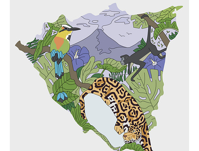 Nicaragua Map Illustration central america illustration jaguar latin america map monkey nature nicaragua travel volcano wildlife